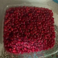 آب زرشک بدون موادافزودنی و زرشک بسته بندی شده|خوردنی و آشامیدنی|مشهد, فدک|دیوار