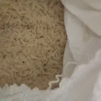 برنج هاشمی