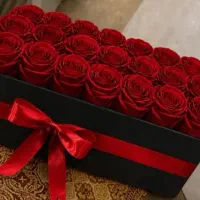 همیشه سراغ بهترین برو