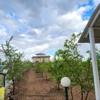 باغ ۲۰۰۰ متر|فروش خانه و ویلا|تهران, بوستان سرخه حصار|دیوار