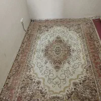 فرش 6 متری گل برجسته|فرش|بومهن, |دیوار