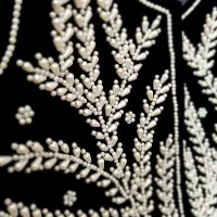 جلیقه وست سخمه|لباس|کرج, چمران|دیوار