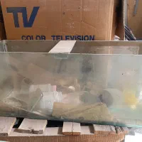 اکواریوم بزرگ سالم