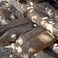 فروش چوب خشک|مصالح و تجهیزات ساختمان|پاوه, |دیوار