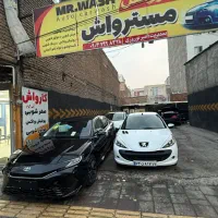 نیروی کار در کارواش