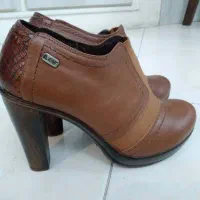 کاپشن گرم، کیف و کفش شیک و نو|کیف، کفش، کمربند|رشت, معلم|دیوار