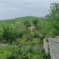 زمین۵۰۰ متری دوردیوارمسکونی جاده سیاهکل به دیلمان