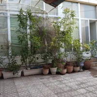 104-متر-کلنگی