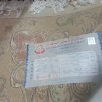 فرش ۱۲ متری مشهد|فرش|مشهد, طرق|دیوار