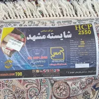 فرش نو|فرش|باشتین, |دیوار