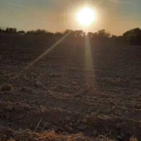 زمین کشاورزی|فروش دفتر صنعتی، کشاورزی، تجاری|ری, شهرک نظامی|دیوار