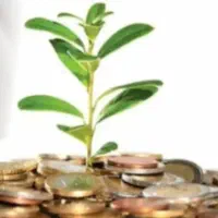 سرمایه گذار زمین