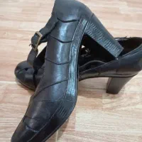 کفش چرم وحید|کیف، کفش، کمربند|روانسر, |دیوار