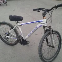 دوچرخه  ویوا ۲۶