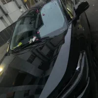 فراتلندر مشکی منطقه ازاد انزلی  هیبرید