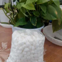 شیرینی مخصوص چای