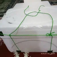 باکس یخدون|ظروف نگهدارنده، پلاستیکی، یک‌بارمصرف|بم, |دیوار