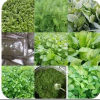 سبزی خورشتی رامهرمز وادویه جات و....