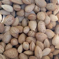 خشکبار اعلاء بیرجند