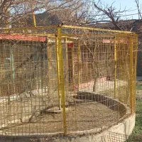 فروش قفس بزرگ و محکم برای پرندگان و حیوانات