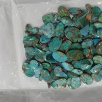 فیروزه بارخونه