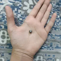 گل گل یاپوچ|اسباب‌‌بازی|قم, باغ کرباسی|دیوار