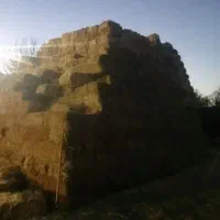 کولش کندم پرس شده