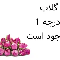 برنج دهکده|خوردنی و آشامیدنی|گرگان, |دیوار