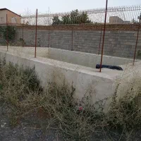 زمین-کشاورزی-درخت-کاری-شده