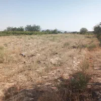 زمین-زراعی-جعفریه