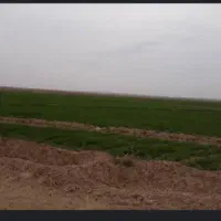اجاره زمین کشاورزی ۱۱هکتار روستای دهنو