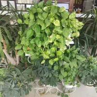 استخدام نیروی کار