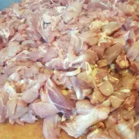 بچه فیله خورده گوشت