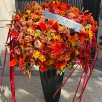 جذب نیرو گلارا ( حرفه ای ) و ( هنرجو )