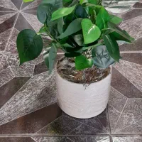 گل ب مناسبت روز مادر|گل مصنوعی|قم, نیروگاه|دیوار