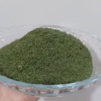 گل شوید تازه