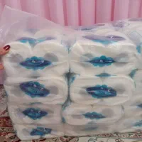 دستمال کاغذی دوقلو