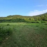 زمین کشاورزی