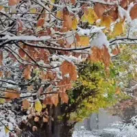 معاوضه-خانه-ویلایی78متر