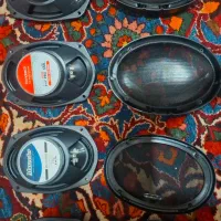 پخش و باند چینی