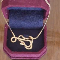 زنجیر ماری ۴۰ سانتی نو، وزن ۵.۸۵۰