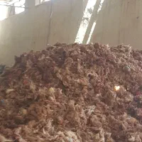 استخدام نیروی کار