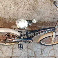 دوچرخه ۲۰ .سالم .فقط لاستیک جلو پنچر هست|دوچرخه، اسکیت، اسکوتر|زرقان, |دیوار