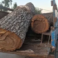 کارگر نجاری