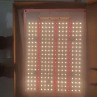 پنل رشد گیاه|گل و گیاه طبیعی|رشت, حاجی آباد|دیوار