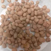 لوبیا سویا ، ماش قهوه ای|خوردنی و آشامیدنی|مشهد, رسالت|دیوار