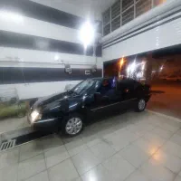 دو عدد زانتیا مشکی و سفید