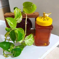 عسل ملکه(کاملا طبیعی )|خوردنی و آشامیدنی|اصفهان, فروردین|دیوار