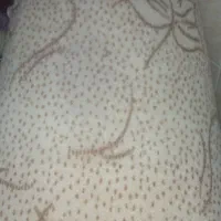 موکت