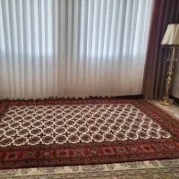 فرش دستباف چله ابریشم|فرش|تهران, باغ فیض|دیوار